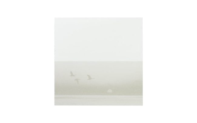 Souvenirs et remerciements 02