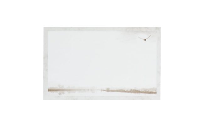 Souvenirs et remerciements 12